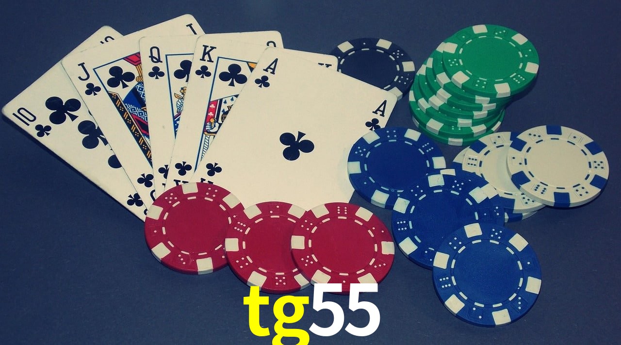 Experiência VIP tg55